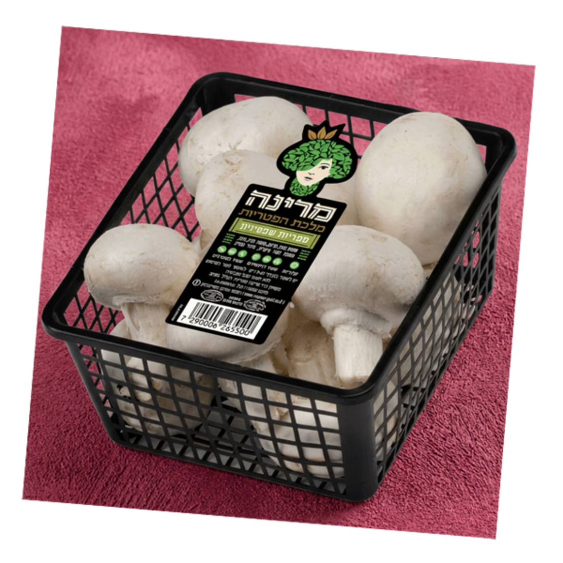 פטריות שמפיניון~