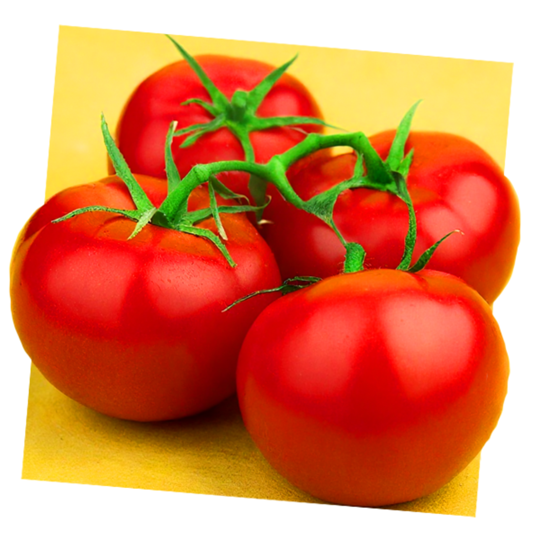 עגבניה אשכולות