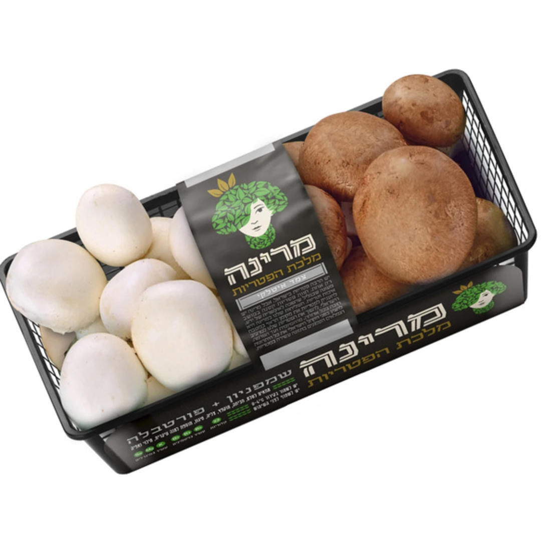 מארז צמד פטריות פורטבלה ושמפיניון