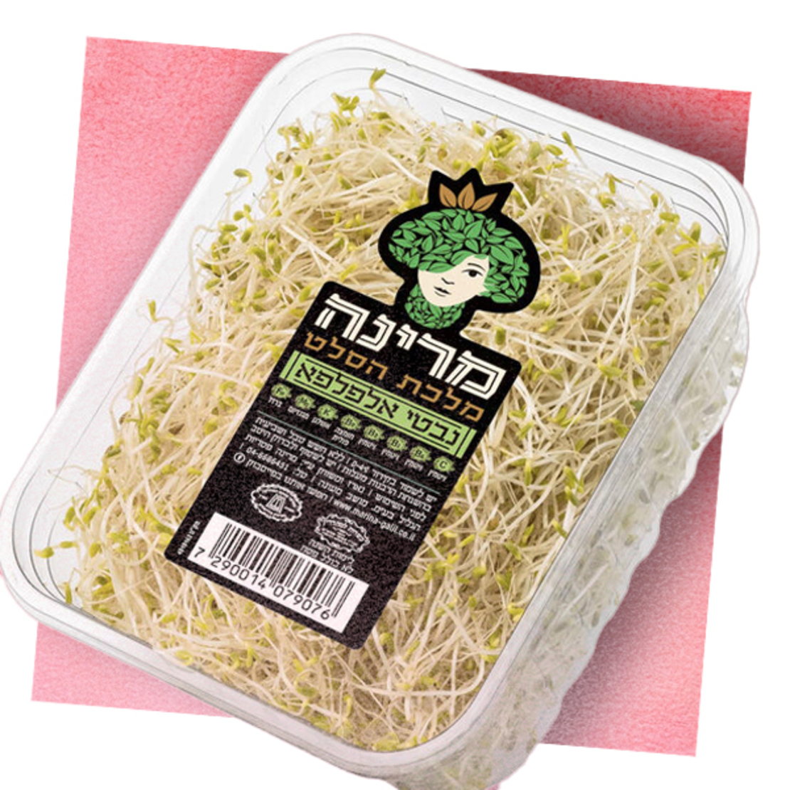 נבטי אלפלפא - מארז מרינה