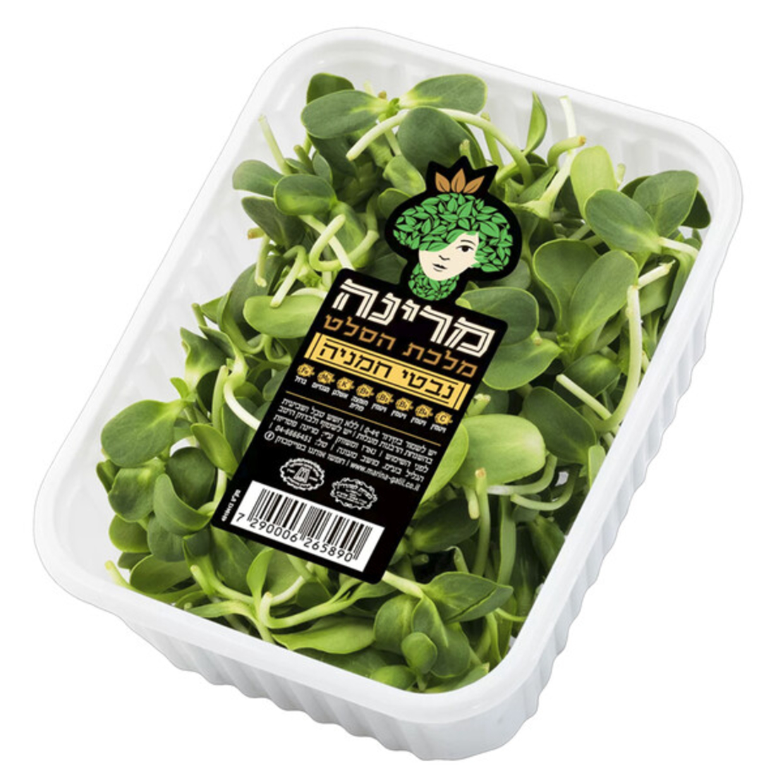 נבטי חמניה - מארז מרינה