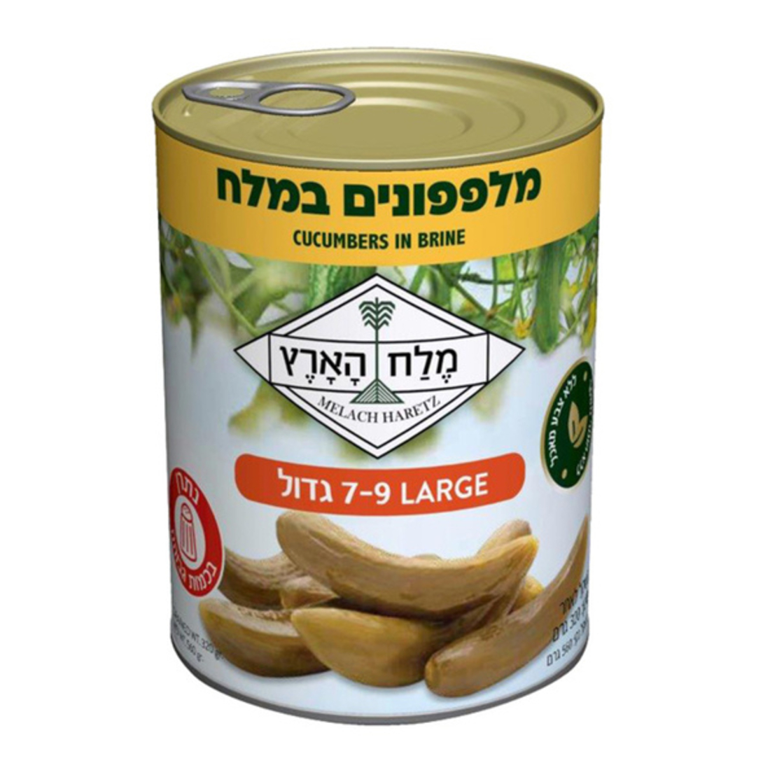 מלפופנים חמוצים במלח - מלח הארץ LARGE