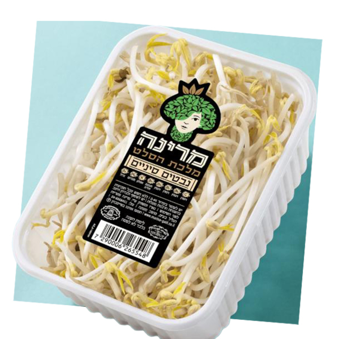 נבטים סיניים - מארז מרינה