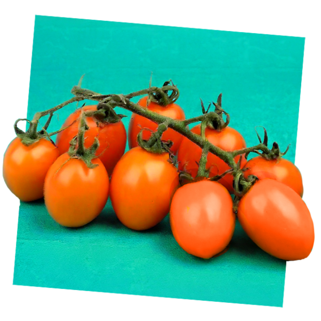 עגבניה שרי כתום ארוז 500 ג'