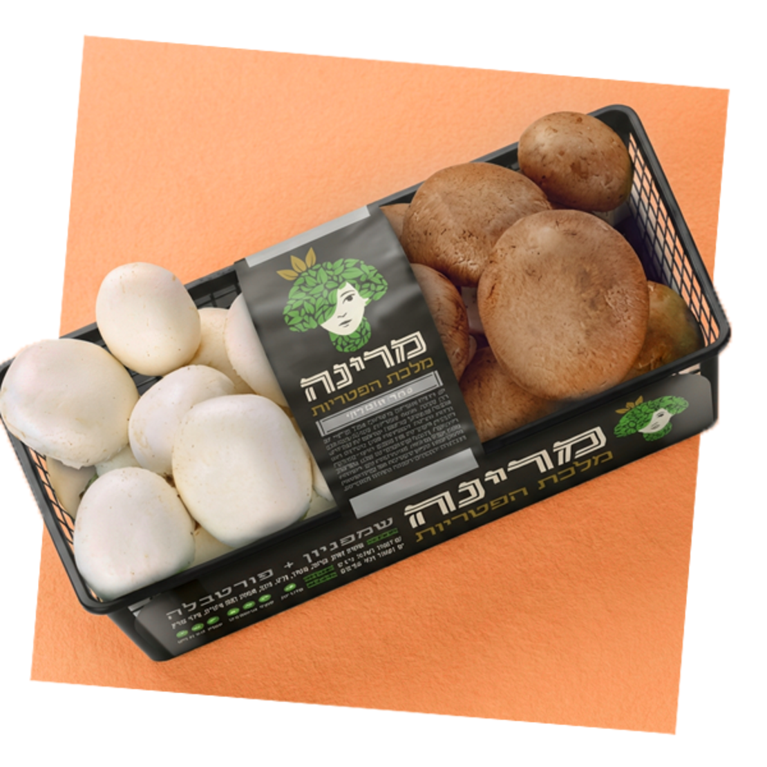 מארז פטריות פורטבלה ושמפיניון