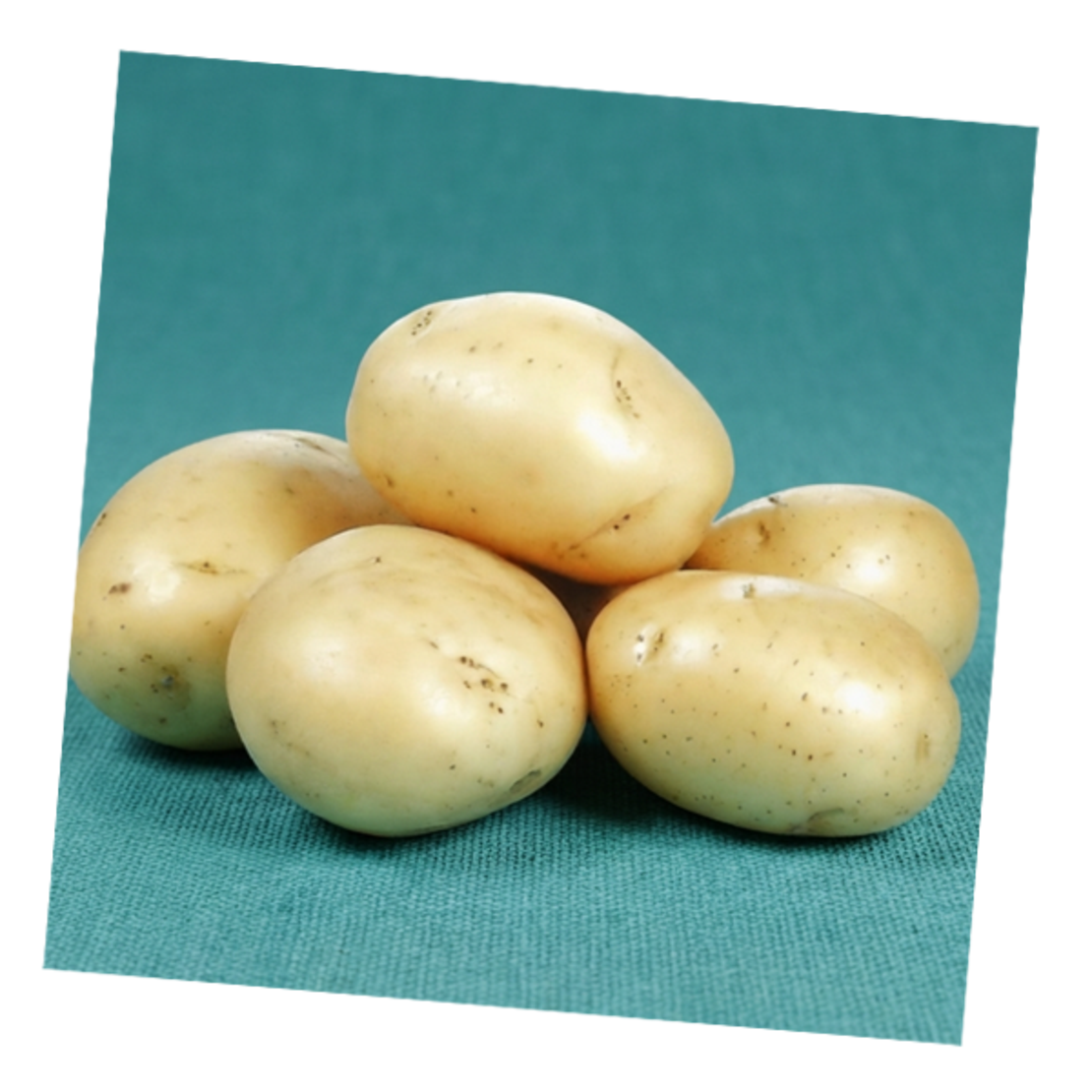 תפוח אדמה לבן בתפזורת