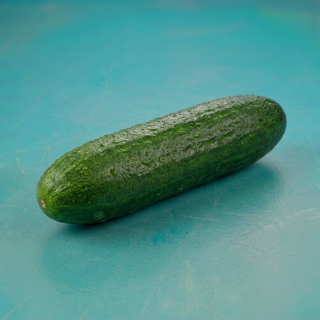 מלפפון