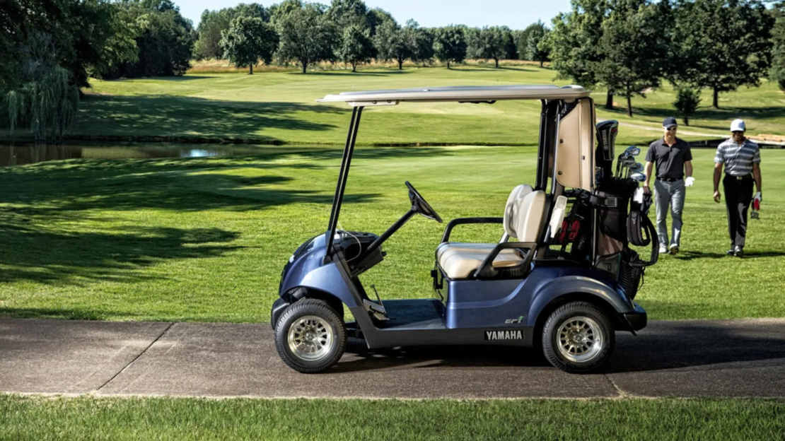 Drive2 FLEET EFI