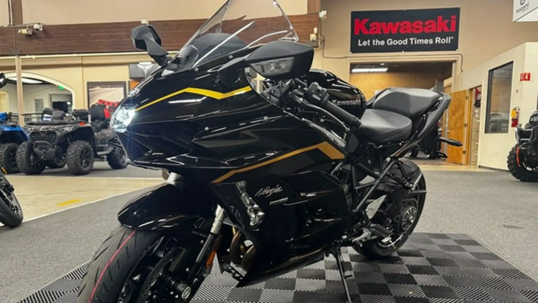 NINJA H2 SX