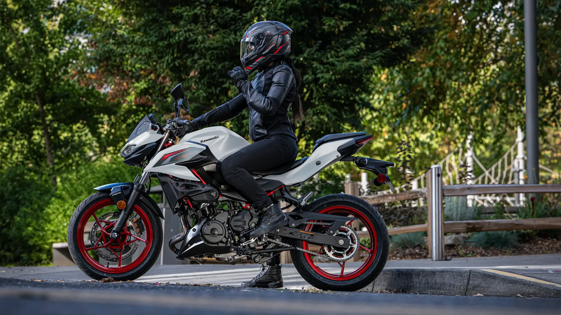 Z500 SE