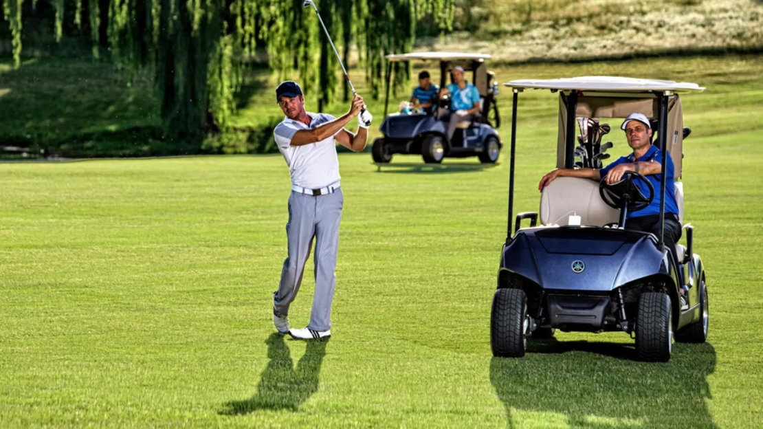 Drive2 FLEET EFI