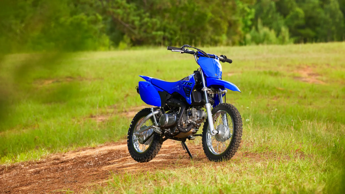 TT-R110