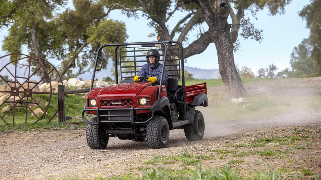 MULE 4010