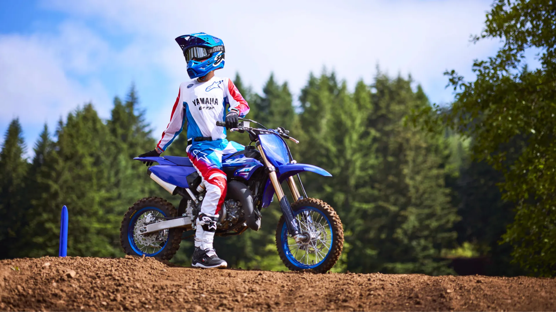 YZ65