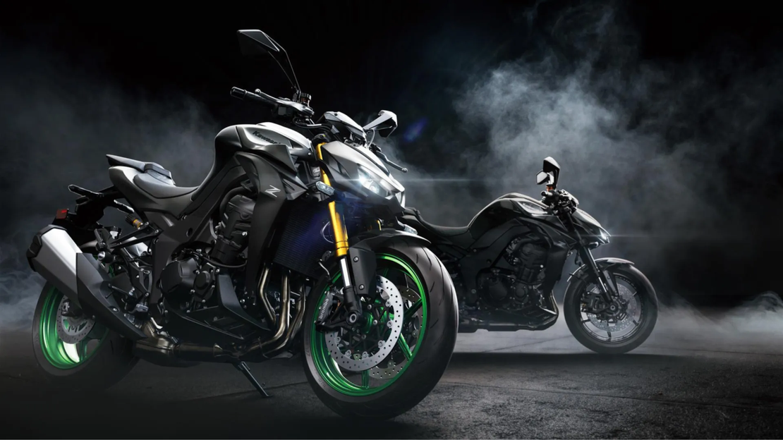 Z1100