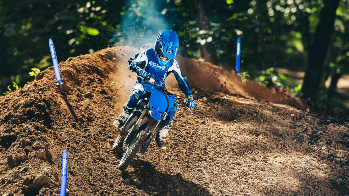YZ65
