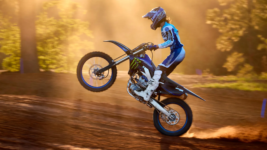 YZ250F MONSTER