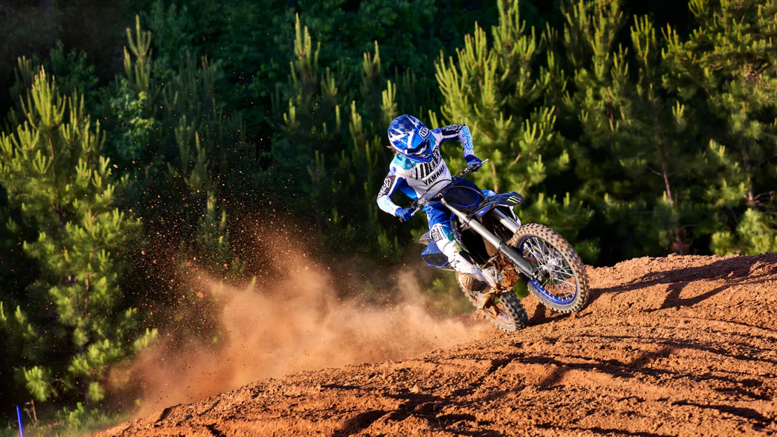 YZ250F MONSTER