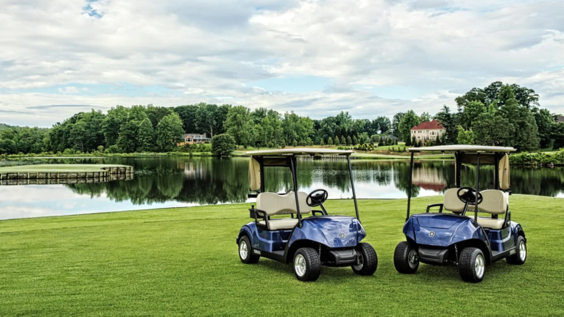 Drive2 FLEET EFI