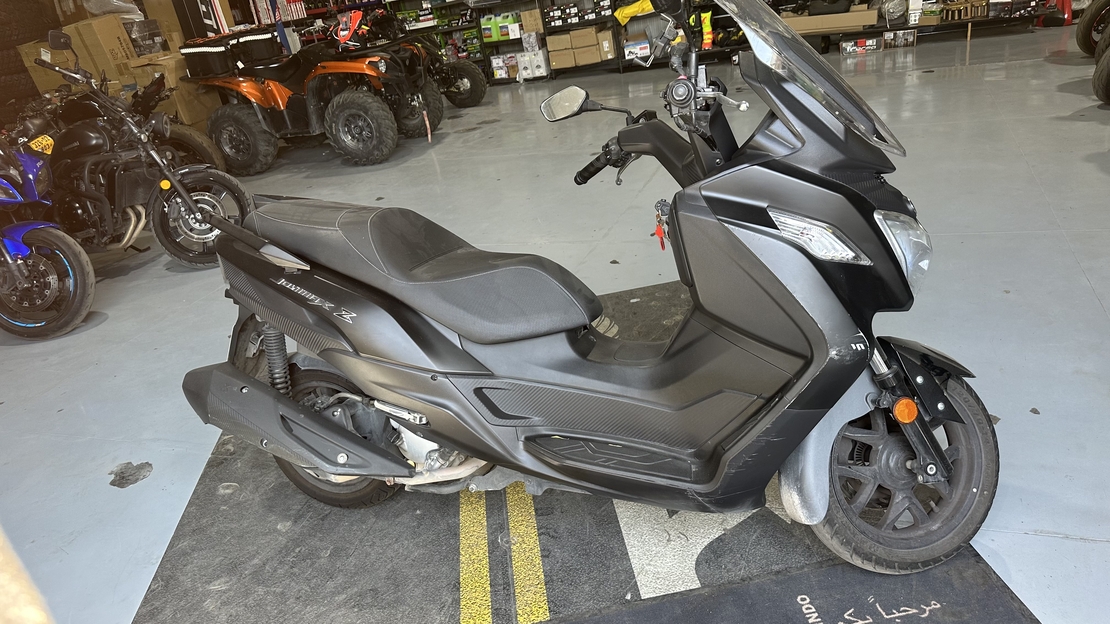 JOYMAX Z300