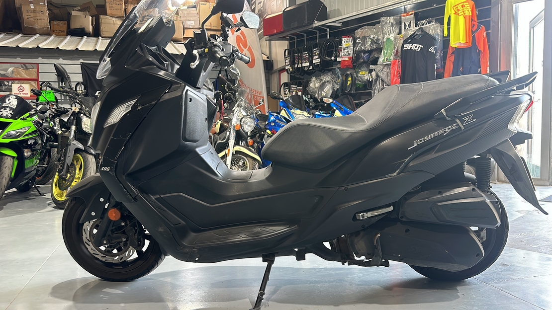 JOYMAX Z300