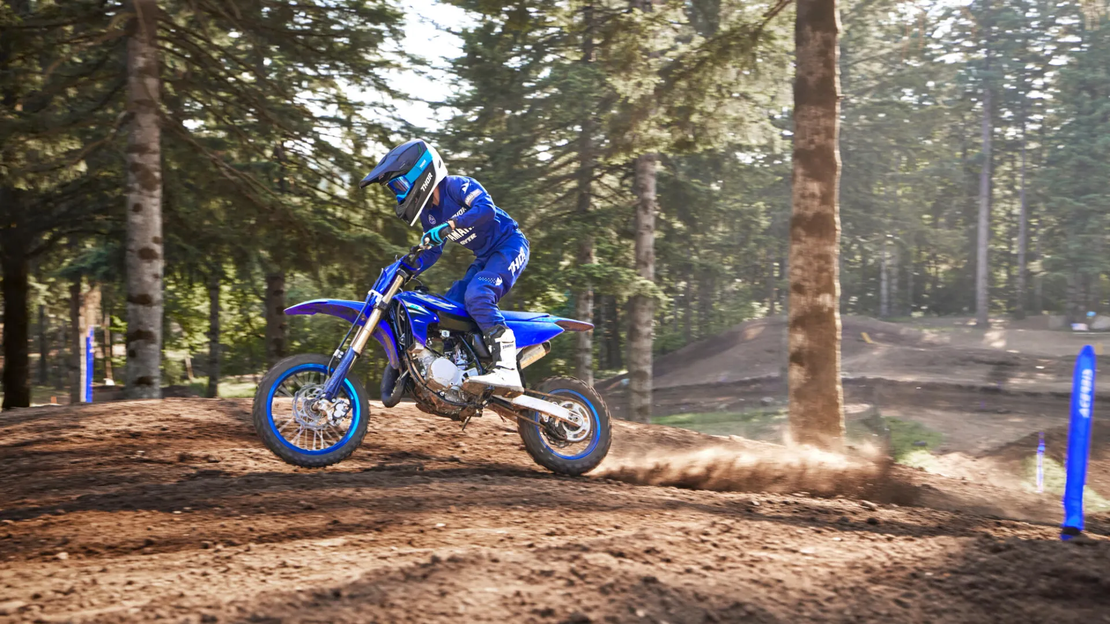YZ65