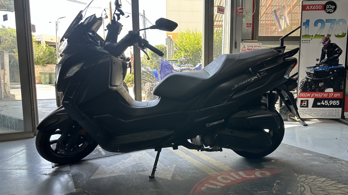 JOYMAX Z300