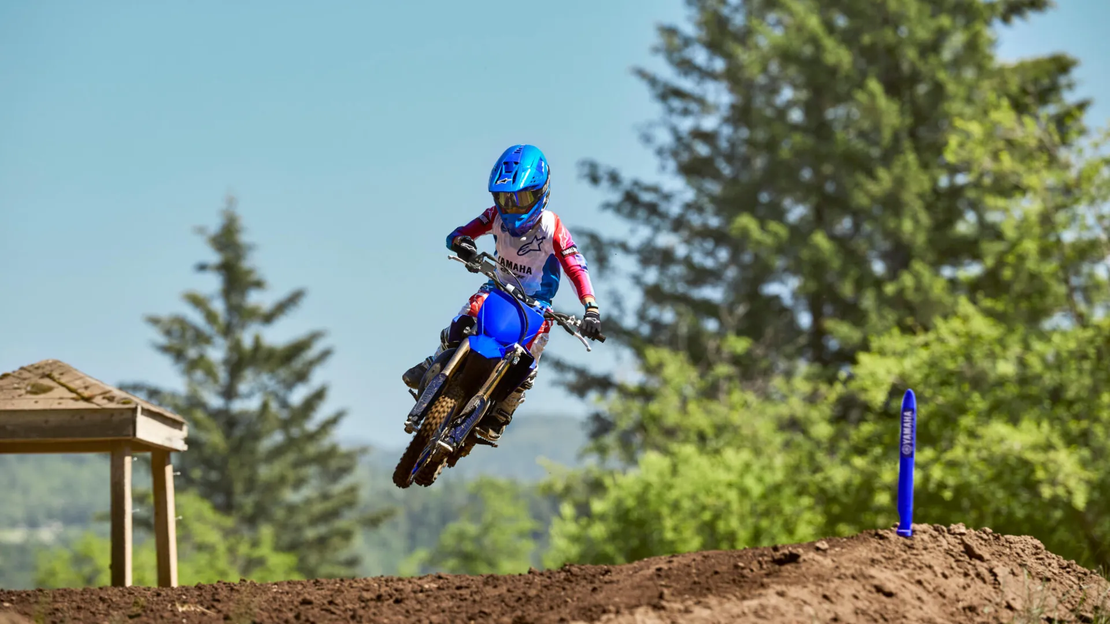 YZ65