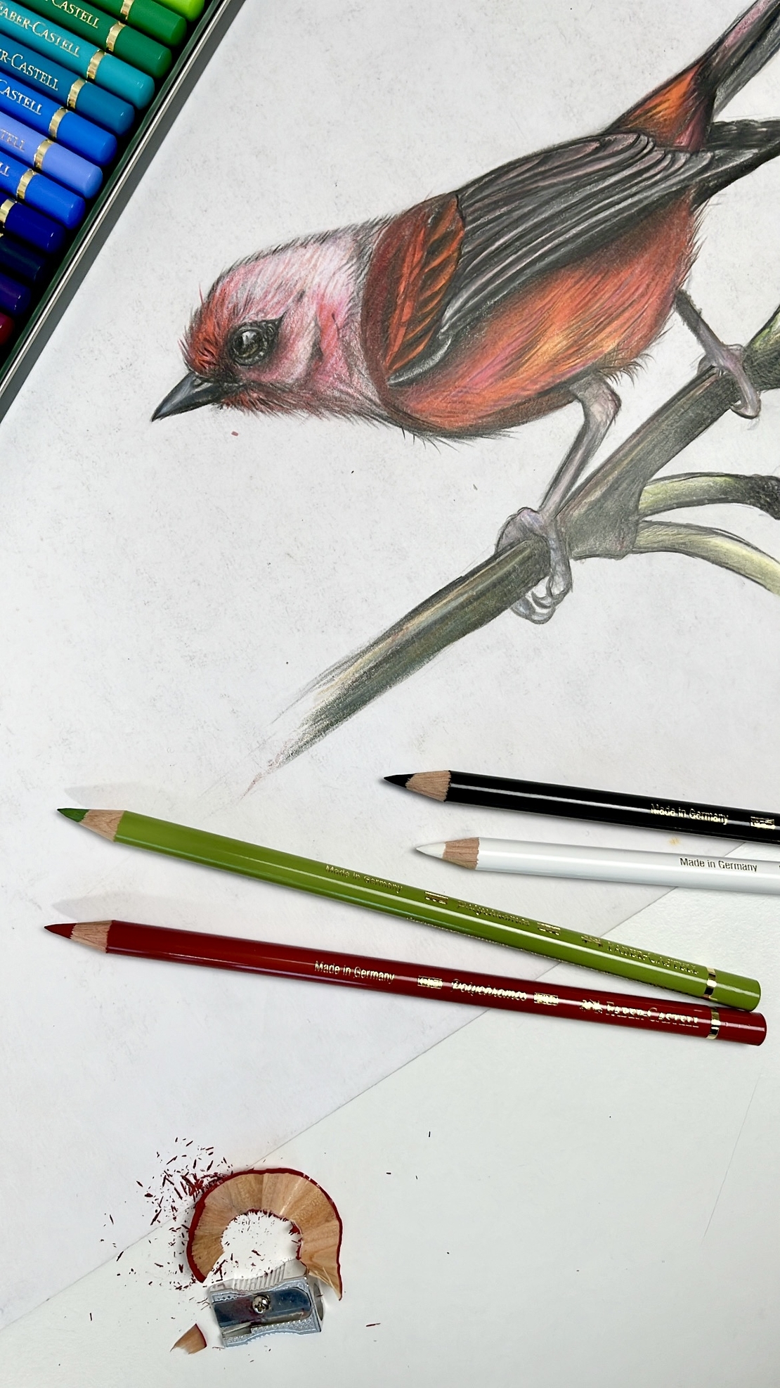 סט עפרונות 36 גוונים של חברת Faber Castell מסוג Polychromos