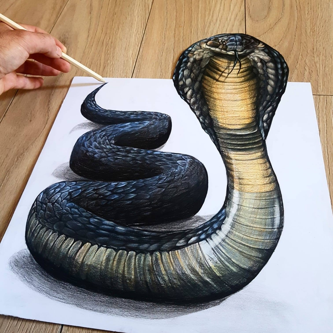 הקורס הדיגיטלי לציור תלת מימד
