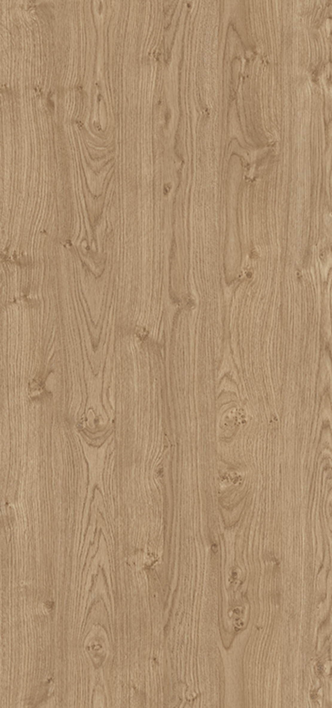 HPL 4665-Newcastle Oak