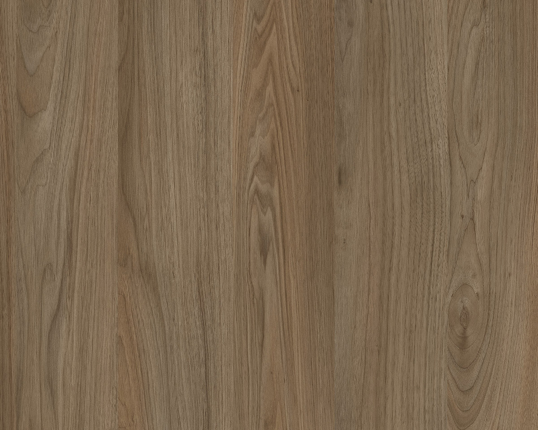 HPL 4698 – Lovis