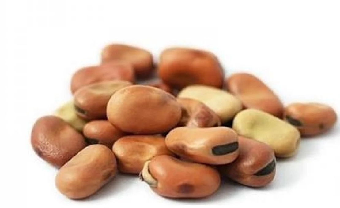 فول كبير