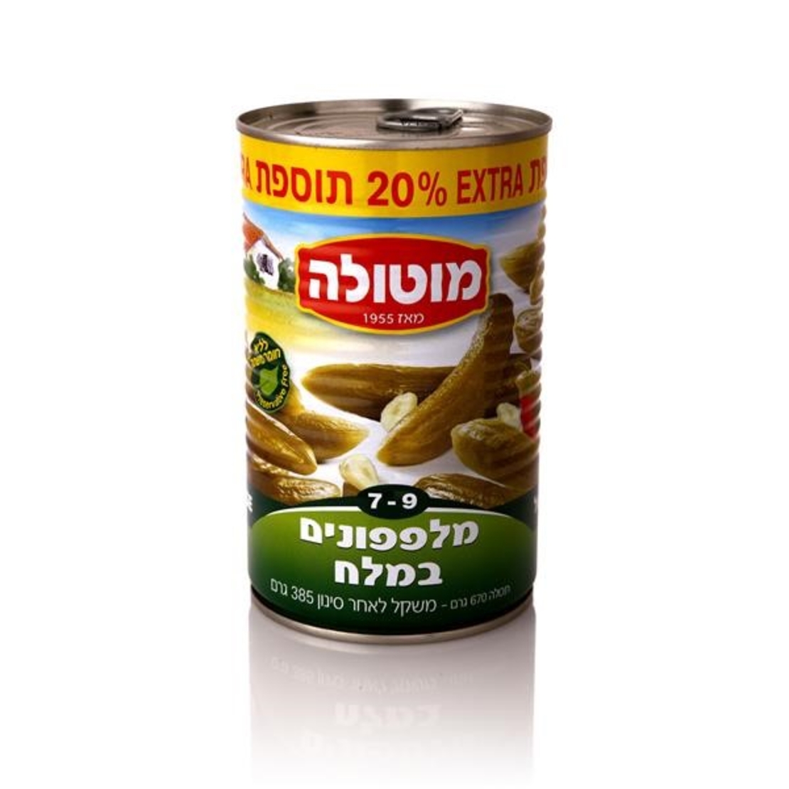 מלפפון במלח 18-25
