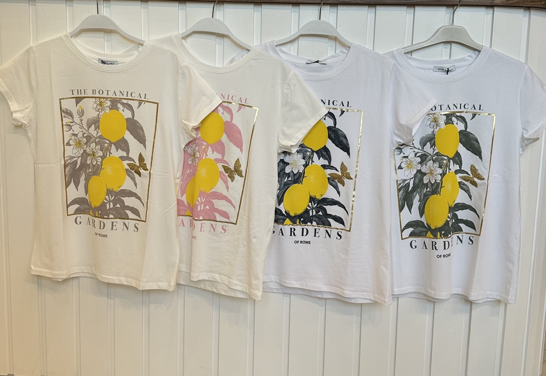 טישרט בוטיניקה