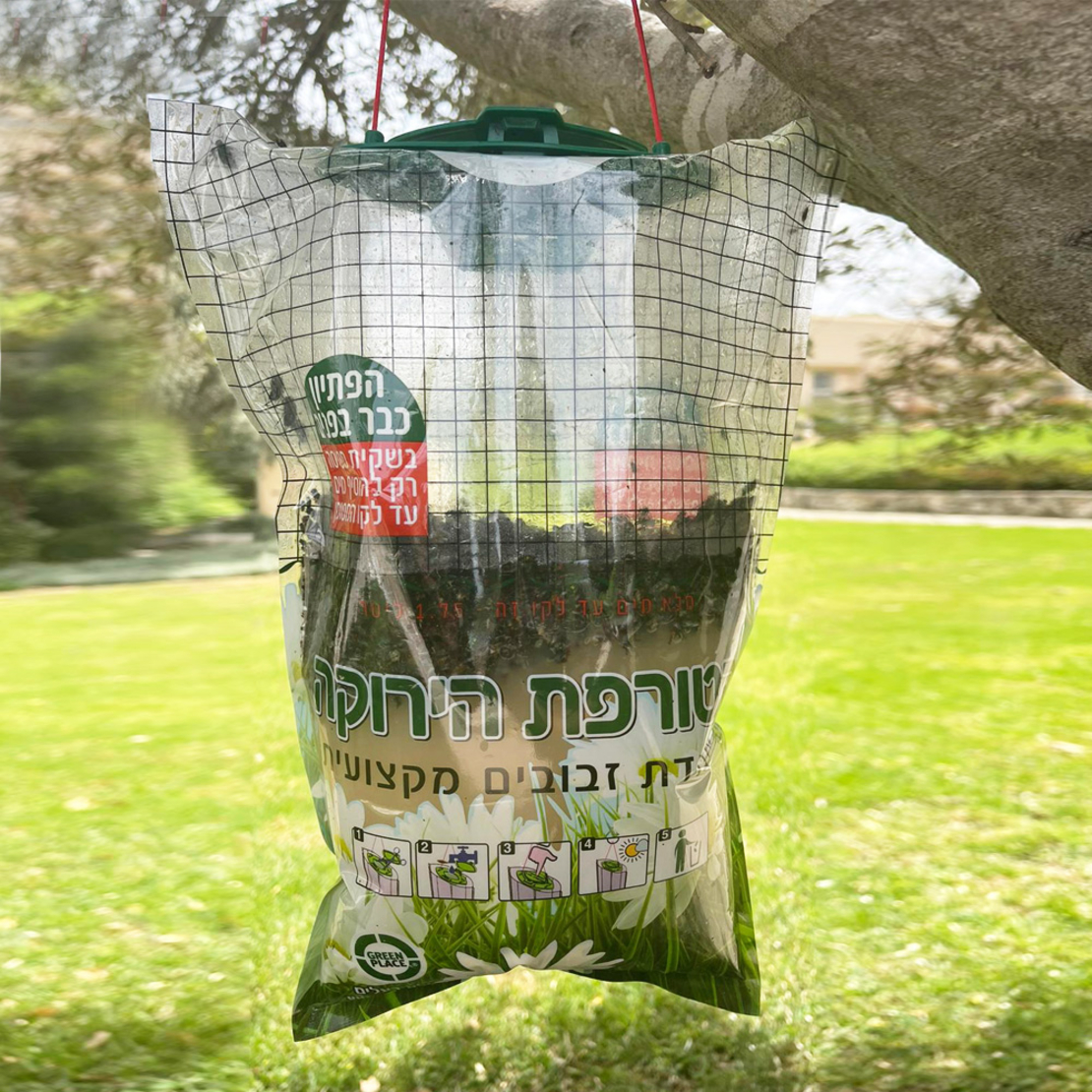 הטורפת הירוקה | מלכודת זבובים