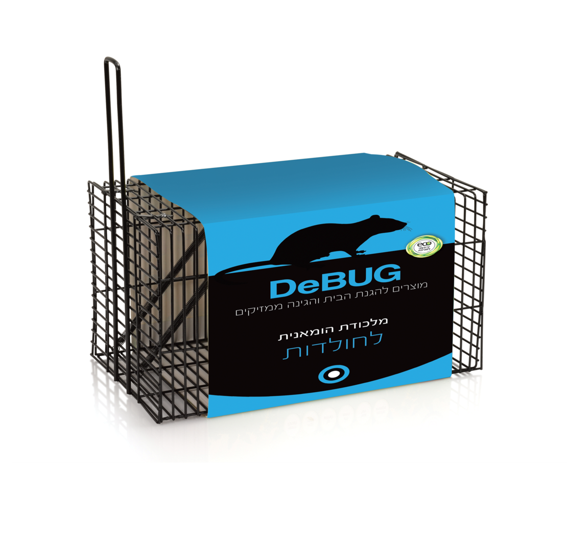 DEBUG | מכלודת רשת חולדות