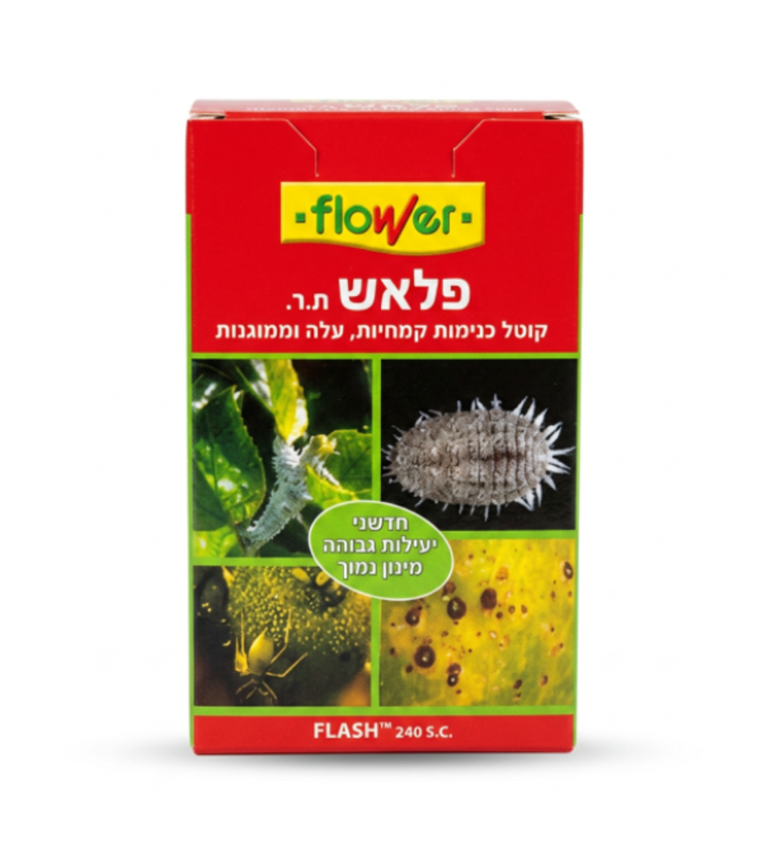 פלאש | קוטל כנימות 10 סמ