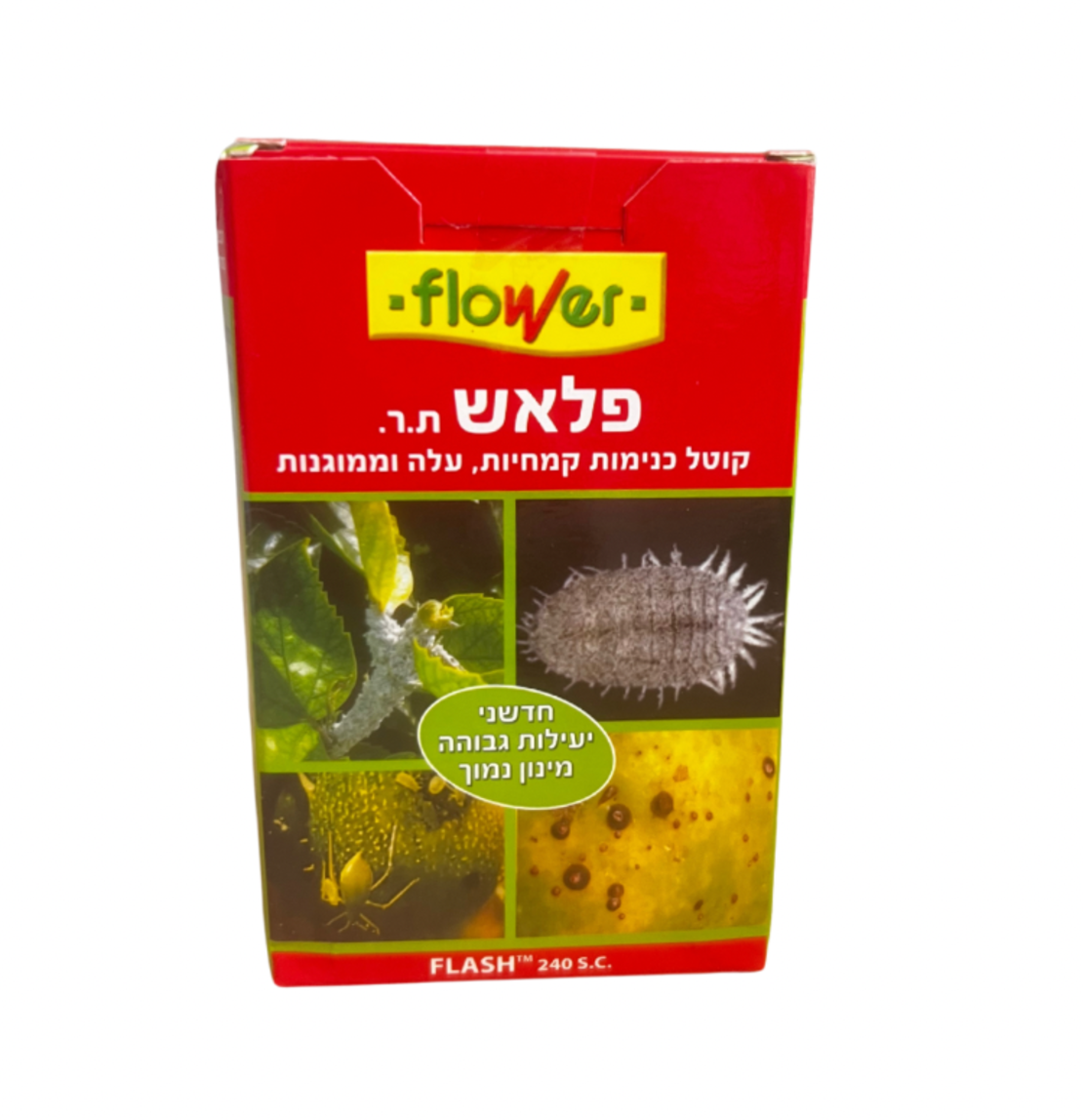 פלאש | קוטל כנימות | 10 סמ
