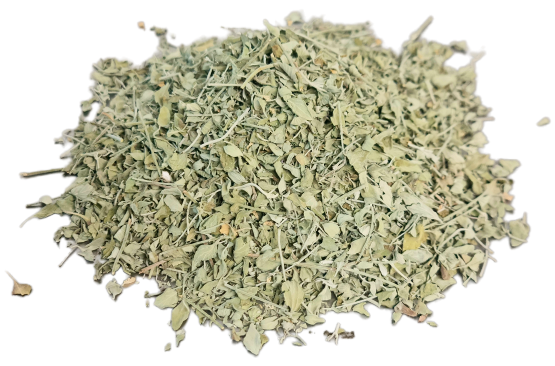 זוטה לבנה עלים