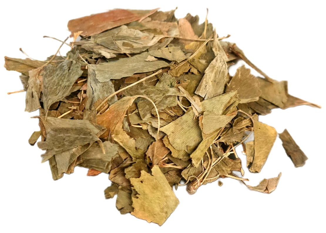 גינקו בילובה אורגני עלים