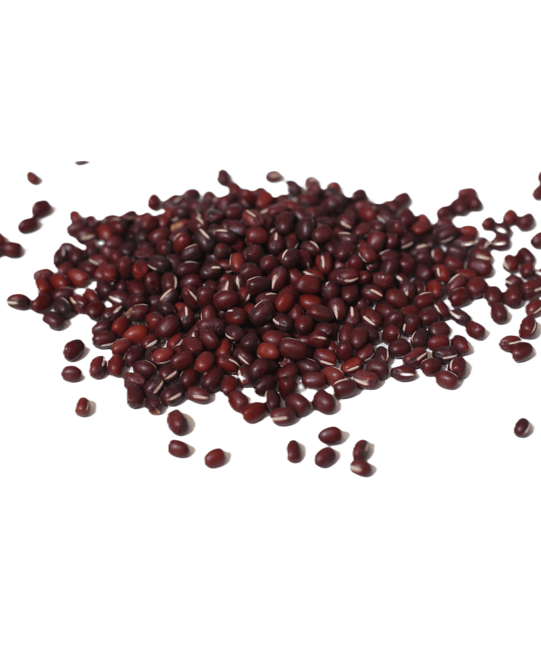 שעועית צבעונית