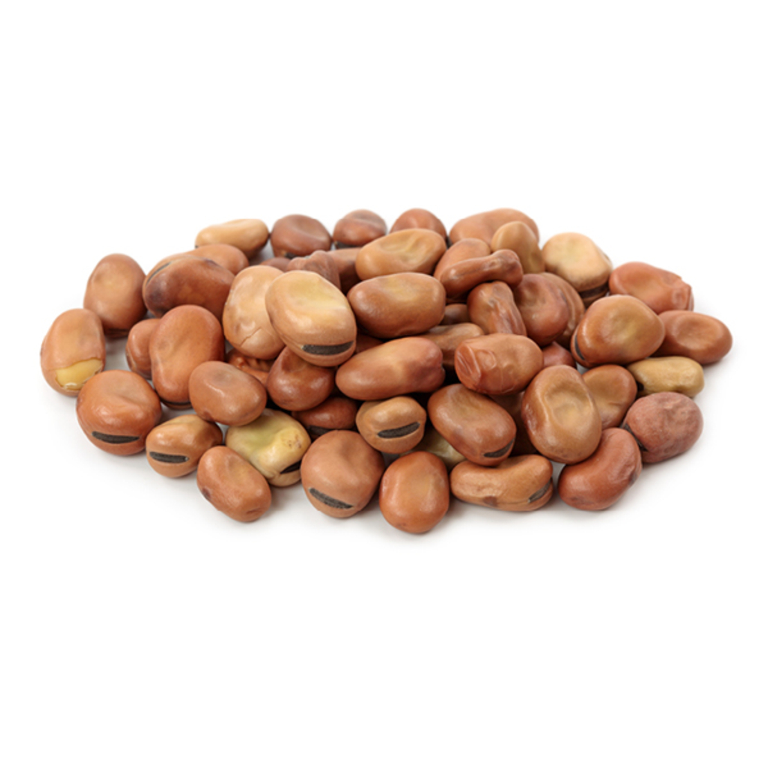 פול בלדי קטן 5קילו