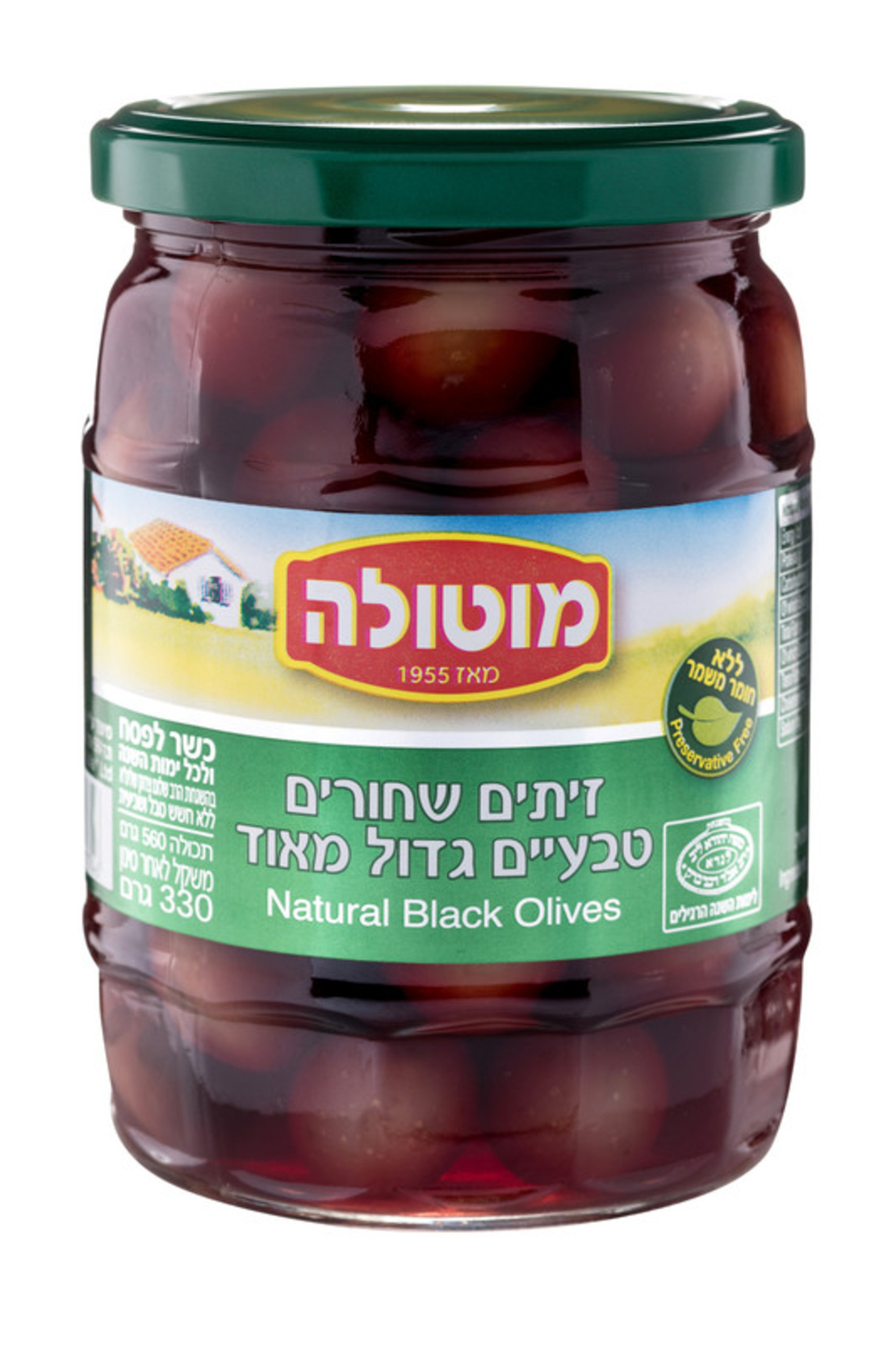 מוטולה צנצנת זיתים שחורים 17/19 – 560 גרם × 12 יחידות (מארז)
