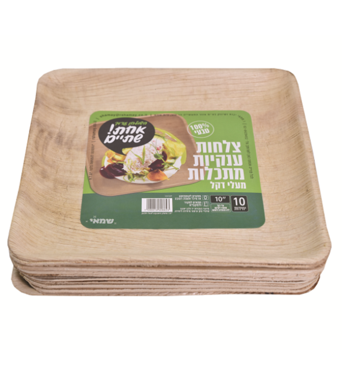צלחות (L) מרובעות מתכלות מעלי דקל