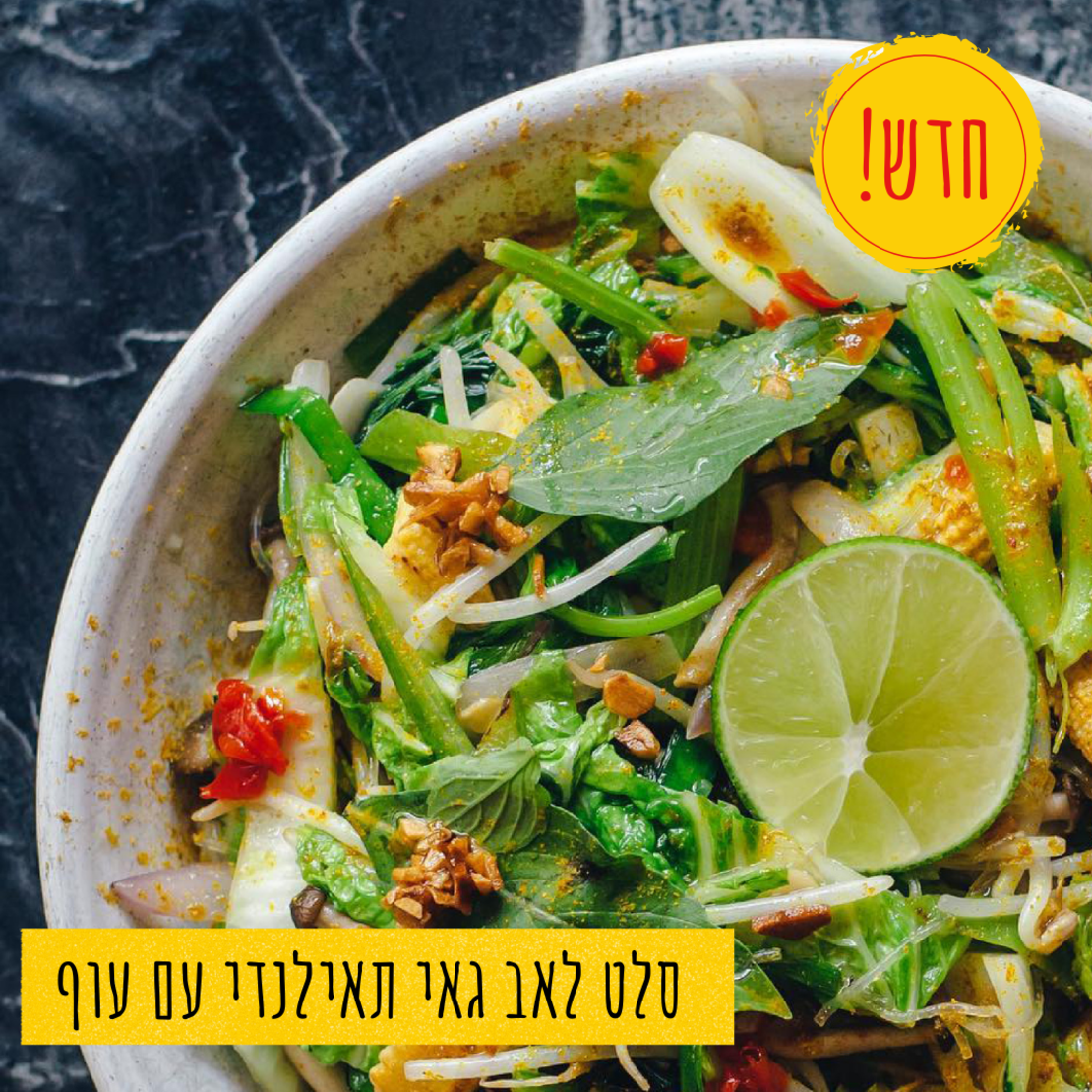 סלט לאב גאי תאילנדי עם עוף