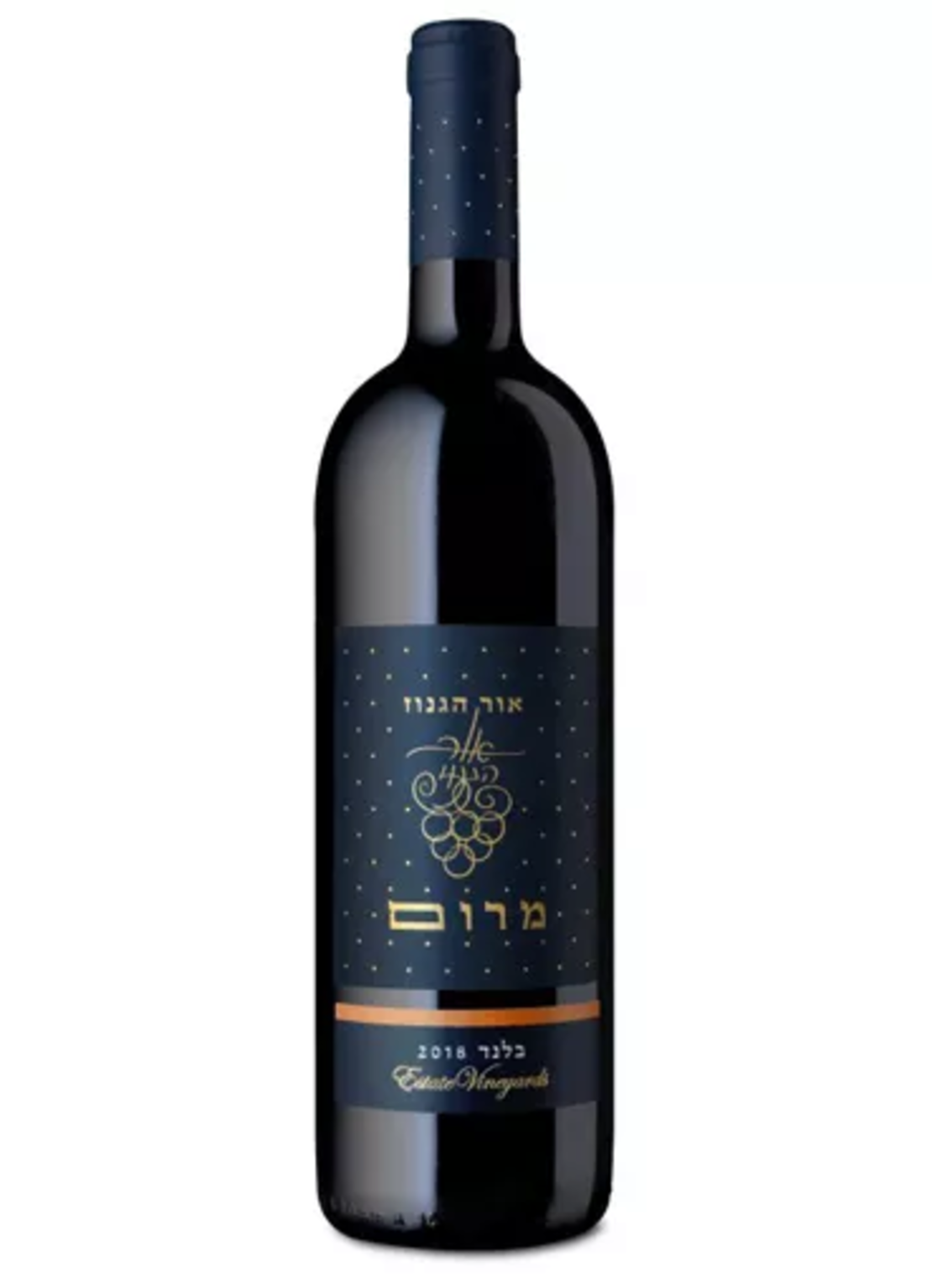 אור הגנוז-בלנד מרום 2021