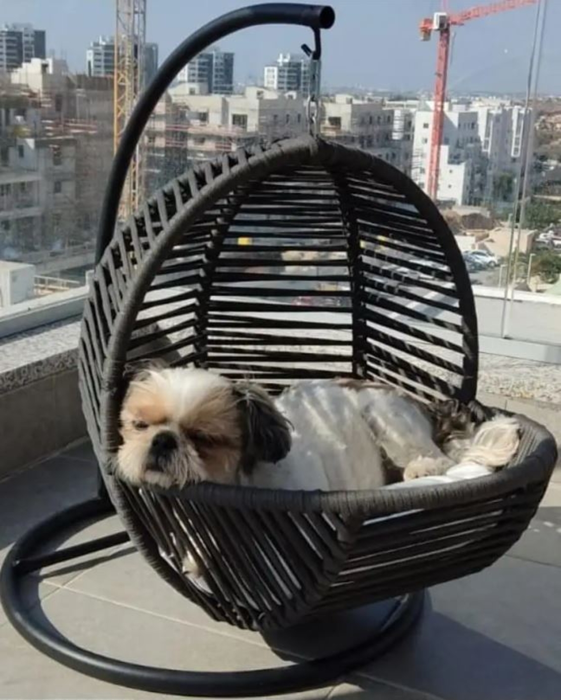 נדנדה לחתולים / כלבים בעלת מזרן רך דגם סנדי