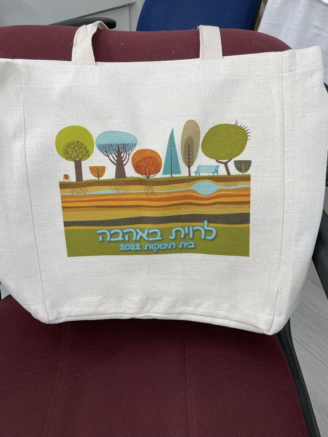 תיק קנבס