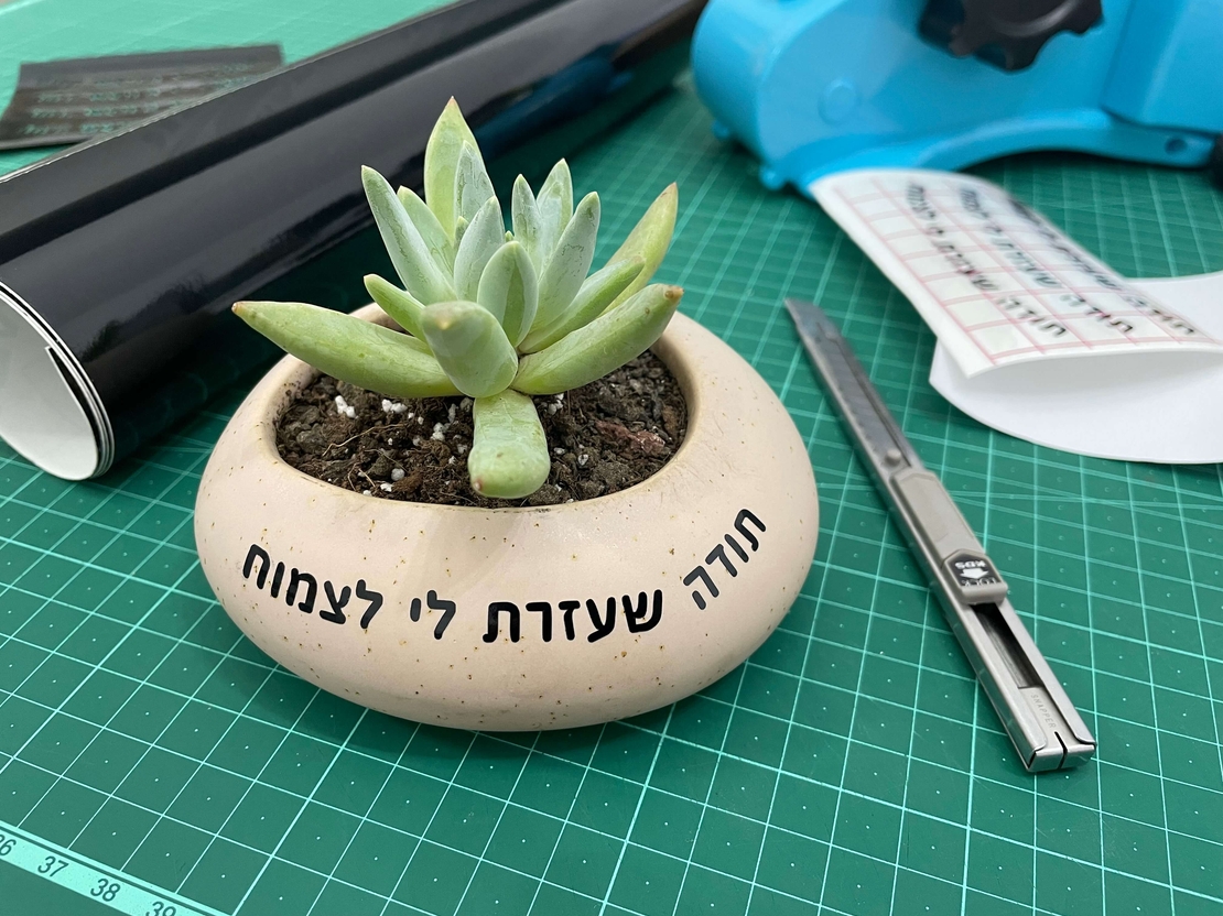 עציץ קטן